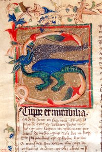 Dragón decorado en letra capital (detalle) de un manuscrito del siglo XIV