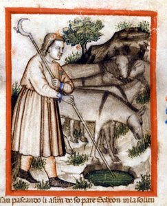 Esa pastorea burros - el Pentateuco. Miniatura del códice 212 (o codice padovano o Biblia de Padua) 1390-1400 Rovigo, Accademia dei Concordi de Unknown artist
