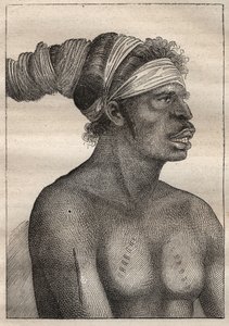 Expedición de Antoine Bruny (Bruni) d