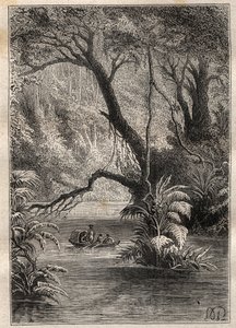 Expedición a América (1799-1804) de Alexander von Humboldt (1769-1859) y Aimé Bonpland (1773-1858): los exploradores descienden el Orinoco, rodeados por los gigantescos árboles de la selva amazónica (Cano Pimichin, Venezuela) - ilustración tomada de “Los G de Unknown artist