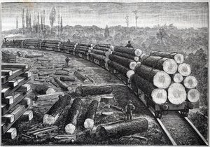 Explotación de los bosques de Estados Unidos. Ferrocarriles temporales con vía de madera. Vagones transportando troncos de árboles. Grabado en “La Nature”