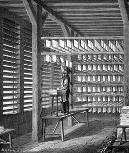 Extensión de hojas de papel hechas para formar en “Las maravillas de la industria” por Louis Figuier, París de Unknown artist