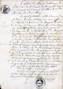 Extracto del registro de nacimiento del Estado Civil del municipio de Dommyrot, copia certificada del 2 de febrero. de Unknown artist