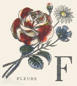 F: flores
