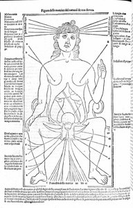Aparato reproductor femenino - en Tratado de Medicina de Gerolamo Cardano (Cardano) (Cardanus Hieronymus), Florencia 1585 de Unknown artist