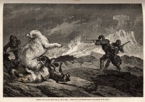 Lucha con un oso polar protegiendo a su cría, la manada de perros la asalta y los cazadores, con rifles, esperan el momento adecuado para dispararle. Grabado para ilustrar el viaje al mar libre del polo Ártico, por el Doctor Hayes, cirujano de la Marina de de Unknown artist