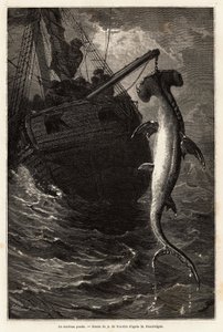 Pesca de un tiburón martillo de 7 metros de largo en las aguas cercanas a la Isla Anastasia. Grabado para ilustrar la historia de cuatro meses en Florida, por Achille Pousselgue en 1851-1852, publicado en "Le tour du monde" 1870-1871, editado por Edouard C