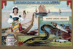 Barcos de pesca y peces (morena, sardina, anchoa) - cromo. Liebig, c.1900