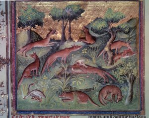 Caza de zorros y aves de corral. Miniatura del manuscrito “El libro de la caza” (folio 34v) por Gaston Phoebus (1331-1391) conocido como Gaston III Conde de Foix de Unknown artist