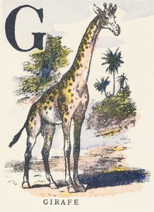 G: jirafa de Unknown artist