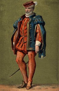 Gaspard de Coligny (1519-1572), Almirante de Francia