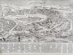 Vista general de la ciudad de Viena con detalle de los principales edificios y monumentos. Austria. Grabado de 1800 Colección privada de Unknown artist