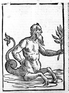 Glaucos con la hierba mágica que le permitirá vivir en el mar - en Mythologiae sive explicationis fabularum de Natalis Comitis. Patavia