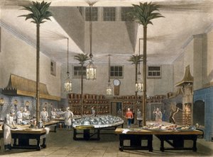 Gran Hotel: las cocinas del Gran Hotel Pavillon en Brighton. 1850