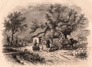 Cosecha de manzanas en Normandía, Francia de Unknown
