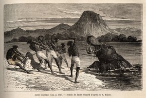 Caza de hipopótamos con la tribu Houarti, con arpones y lanzas, el furioso animal carga y resiste. Grabado para ilustrar la exploración de los afluentes abisinios del Nilo, por Sir Samuel W.Baker, en 1861-62, publicado en “Le tour du monde” 1869.