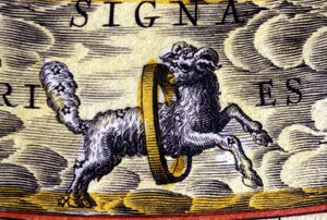 Horóscopo: signo del zodiaco, el Aries
