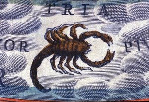 Horóscopo: signo del zodiaco, Escorpión