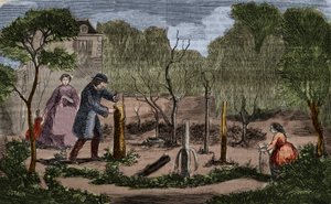 Horticultura: principales métodos de trasplante de plantas. Grabado de 1860