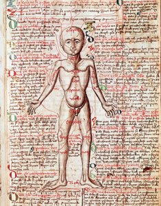 Cuerpo humano. Grabado de "Tractatus de pestilentia". Siglo XV - Praga, Biblioteca Nacional