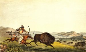 Caza de bisontes en América del Norte. Siglo XIX