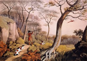 Caza de faisanes en Inglaterra. Grabado del siglo XIX. Gien, museo de caza de Unknown artist