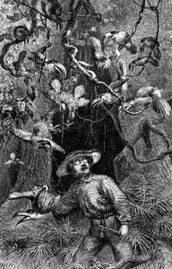 Ilustración El naturalista en el río Amazonas" de Henry Walter Bates (grabado)