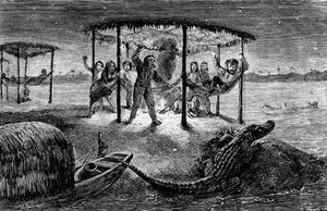 Ilustración El naturalista en el río Amazonas" de Henry Walter Bates (grabado) de Unknown artist