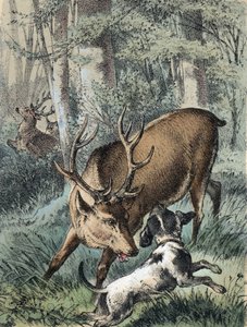Ilustración de los cuentos de Franz Hoffmann 