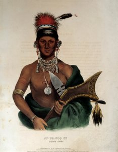 Retrato de un jefe indio de los Saukie Ap Pa Noo See de Unknown artist