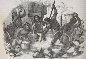 Indios de la Isla de La Española buscando oro de Unknown artist