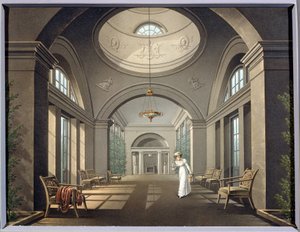 Interior de la pajarera en el palacio de Pavlovsk. Pintura anónima. Acuarela y tinta, mediados del siglo XIX. Clasicismo. Museo Estatal al Aire Libre Palacio de Pavlovsk, San Petersburgo. de Unknown artist