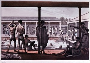Interior de una escuela de natación, Londres, principios del siglo XIX de Unknown artist