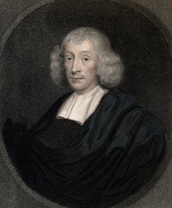 John Ray (Wray) 1627-1705 - grabado - siglo XIX de Unknown artist