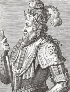 Rey Alfonso V de Portugal. Retrato.