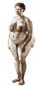 La Venus Hotentote, mujer de raza Bochiman. Grabado de 1815. de Unknown artist