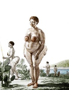 La Venus Hotentote, mujer de la raza Bochiman, grabado de 1815.