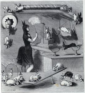 Los conejos vestidos del Nouveau Cirque en París: domador en traje de conejo enseñando los diferentes números al animal. Grabado en "La Nature" 1890. Colección privada.