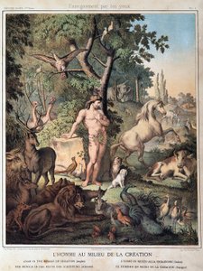 El hombre en medio de la Creación - en “Histoire Sainte”, ed. Hachette de Unknown artist