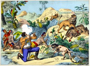 Caza de leones en el sur de África. Grabado del siglo XIX de Unknown artist