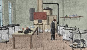 Louis Pasteur (1822-1895), químico y físico francés en su laboratorio en París de Unknown artist