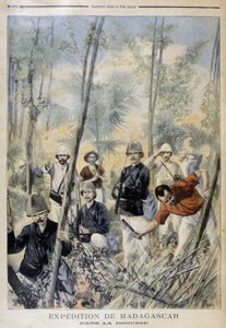 Expedición a Madagascar: en la selva - en “Le Petit Journal”, agosto 1895 de Unknown artist