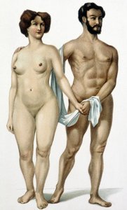 Hombre y mujer - libro de medicina, finales del siglo XIX de Unknown artist