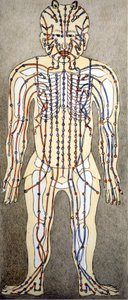 Medicina. Diagrama del cuerpo humano de un tratado de acupuntura. Biblioteca privada, Milán