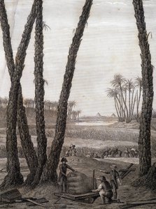 Menfis, vista de las ruinas (científicos y artistas trabajando) - en “Descripción de Egipto”, Ediciones Imperiales de Unknown artist