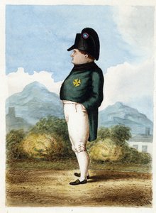 Napoleón Bonaparte en la isla de Santa Elena