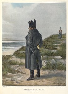 Napoleón en Santa Elena