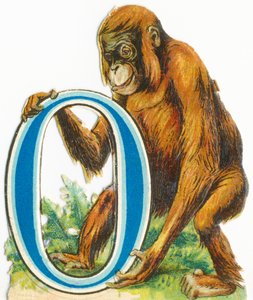 O: Orangután