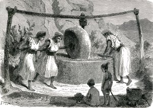 Molino de aceitunas en Argelia 1885