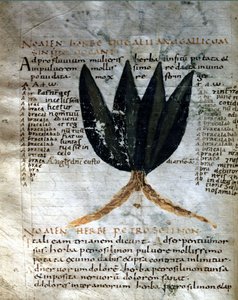 Página del manuscrito de Apuleyo (ca. 125-ca. 180), 